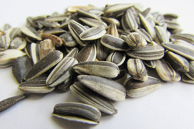 What’s So Particular About Sunflower Seeds? What’s So Particular About Sunflower Seeds?