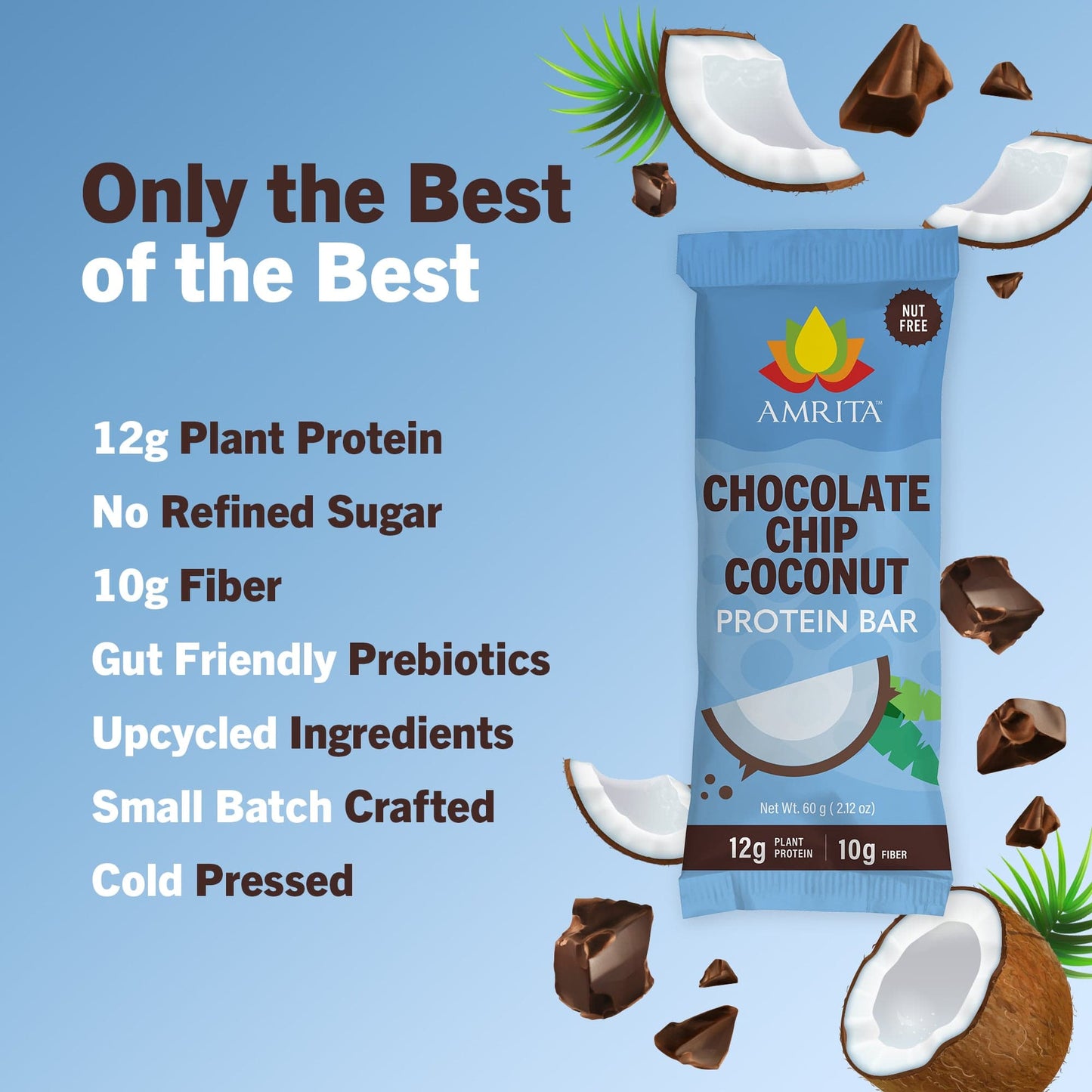 amrita-health-foods protein bars Chocolate Chip Coconut