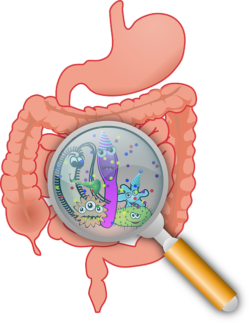 7 WAYS TO IMPROVE GUT HEALTH 7 WAYS TO IMPROVE GUT HEALTH