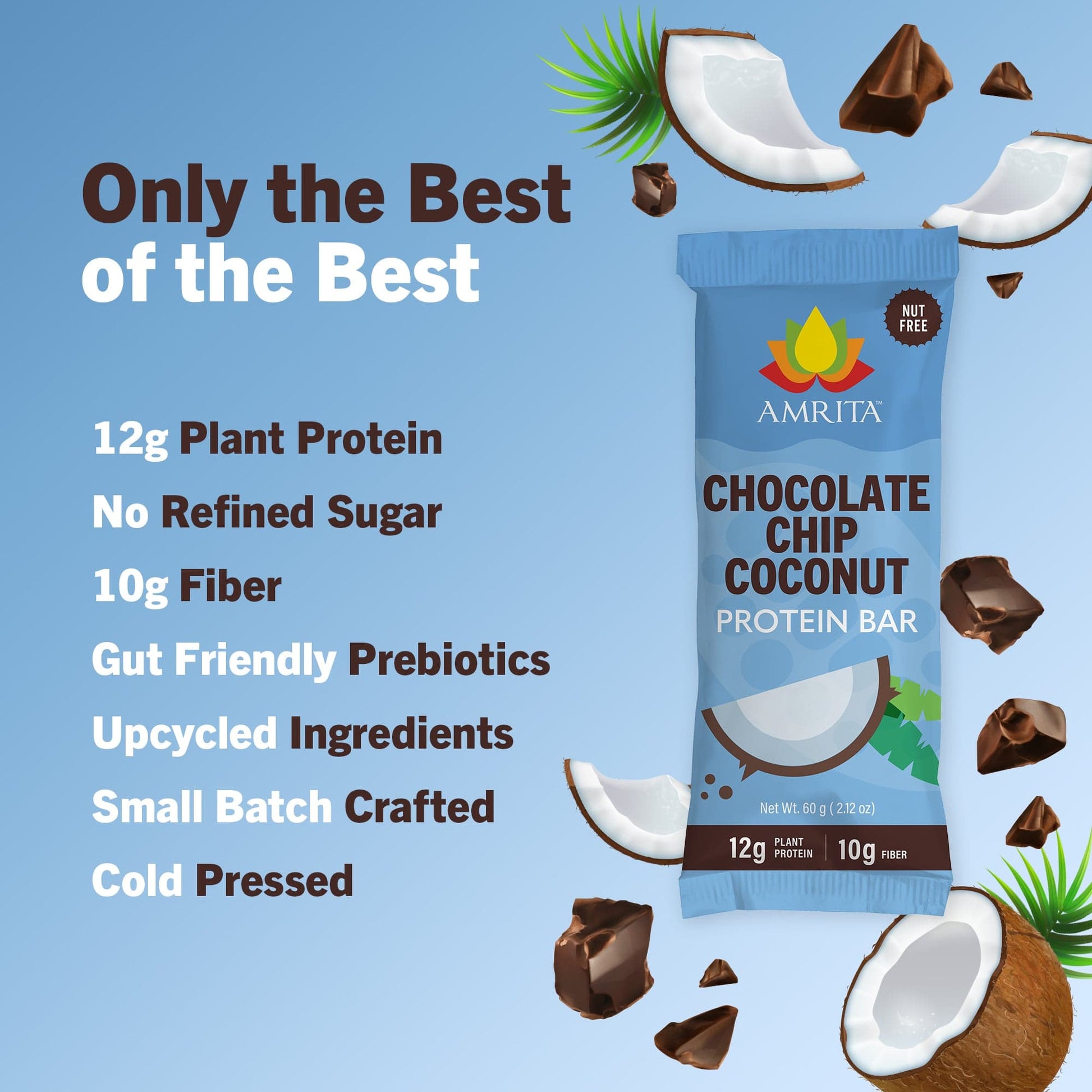 amrita-health-foods protein bars Chocolate Chip Coconut