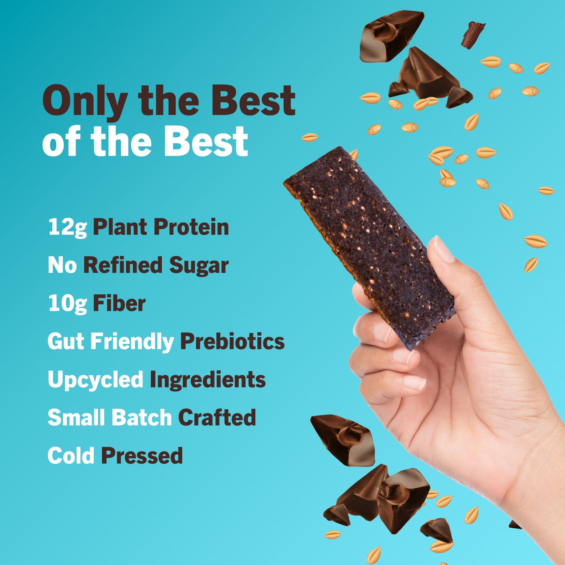 amrita-health-foods protein bars Oatmeal Chocolate Chip